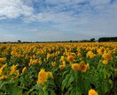 タロット、西洋星占術を使います 相談者様に寄り添い、上から目線せずにお悩みに向き合います。 イメージ1