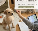 愛犬の困りごとに助言します 訓練経験をもとにご家庭でできる実践案をご提案 イメージ1