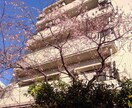 東工大・筑波大合格　東大卒　成果が見える指導します 中学生・高校生・浪人生のハイレベルな個別受験指導　実績多数 イメージ1