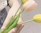モテるあなたへ!メイク、髪型の提案します 20代から30代前半の方向けサービスです！ イメージ1