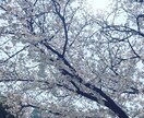 人生、子育て、恋愛相談のります 私が相談のります。人は1人ぢゃありません。 イメージ1