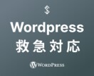 Wordpressの緊急事態に対応いたします 原因不明の不具合も、現役開発者が全力調査 イメージ1