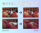 Photoshopで画像加工/レタッチ編集します 写真の切り抜き＆明るさや色彩調整＆不要物削除が必要な方に イメージ6