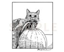 ペットお写真から可愛いモノクロイラストを描きます プレゼントにも◎個性的なお顔が可愛いペン画イラスト イメージ3