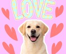かわいいペットやお子様の画像をもっとかわいくします ペット様や人間様の画像を切り抜いて手描きデコイラスト作ります イメージ5