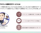 Twitterの運用代行致します 「Twitter運用でお悩みの方」「運用を任せたい方」向け イメージ2