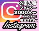 Instagram海外垢フォロワー数増加させます 海外垢フォロワーを増加させます(30日間の補填補償付きです) イメージ1