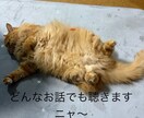 心と体の健康相談を承ります 心と体の悩みに寄り添い、安心できる時間を提供します。 イメージ1