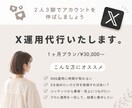 X運用代行いたします 投稿を整え伝わるXポストに。アカウント設計とリサーチも対応。 イメージ1