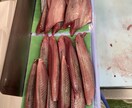 鮮魚での魚捌き、調理師での料理、どちらもいけます 料理長経験もある鮮魚従事者が、なんでも御助力致します！ イメージ1