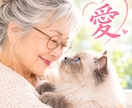 ペットロスの悲しみに寄り添い、お話をお聴きします 泣いても大丈夫、同じ経験をした私があなたの心に寄り添います。 イメージ2