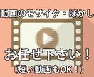 動画の面倒なモザイク処理を承ります 10分までの動くモザイク（1個）処理 イメージ1
