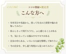 数秘術と心理学で今を読み解く鑑定書を作ります 今の悩みを入り口に、本質・強み・心の動きを紐解く一冊 イメージ4