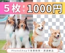 最短即日！キレイに背景透過・削除(白抜き)します ＼　通常価格　で　豊富な追加対応　／ イメージ4