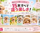 ペット写真1枚から可愛いリール動画15本作ります あなたのペットが主役！15秒のAI動画を15本制作 イメージ4