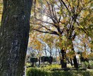 霊感霊視であなたを想ってる人占います 密かにあなたを想っている人がいるのか占います。 イメージ1
