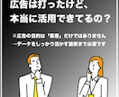 大手SNS広告運用経験者がSNS広告運用を行います 広告運用からクリエイティブ制作まで一貫してお取り組み可能 イメージ2