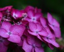 お話しお聞きします 。日々のモヤモヤする事などお聞きします。 イメージ1