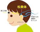 宇宙エネルギーで松果体活性☆覚醒へと導きます 松果体活性＆潜在意識のセッションで隠れた能力を開花させよう！ イメージ2