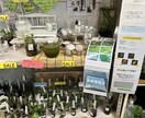 水草、メダカの育て方教えます 水草歴10年フリマアプリ販売数　年1万本 イメージ4