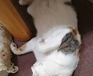 鬱かな？とおもったら。経験者が話を聞きます この症状ってうつ病？気になったらチャットしましょう。 イメージ1