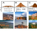 不登校の方の学習支援＆メンタルサポートを行います 「心の健康」重視！お子様のペースに寄り添った指導（数英理） イメージ5