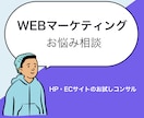 WEBマーケティングのお悩み相談を承ります HP・ECサイトのお試しビデオチャット相談 イメージ1