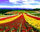 写真を額縁に入れてお贈りします 美しい写真を額縁に入れてお贈ります イメージ4