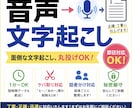 最短当日で音声や動画を丁寧に文字起こし代行します 忙しいあなたの代わりに対応します!! イメージ1