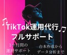 TikTok運用フルサポートします TikTokアカウントをフルサポートします イメージ1