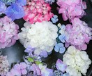 貴方の命の色をお伝えします 貴方の色は産まれた時から決まっています。 イメージ1