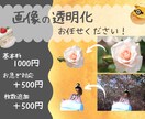 写真、画像の背景白抜き・透明化いたします その写真、使いやすいように背景を透明化しませんか？ イメージ1