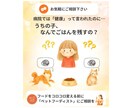 テキスト相談|愛犬のごはん食べない問題を解決します 元ペットショップ店員×ペットフーディストが個別アドバイス！ イメージ2