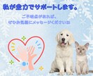 ゼロから商品が売れるようになるコンサルやります はじめての商品販売を成功に導くサポート イメージ10