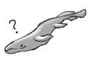 深海生物とサメのラインスタンプ作ります 生物のイラストが得意です（恐竜・魚・深海） イメージ7