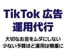 少額予算で効率運用！TikTok広告運用代行します 【現役WEB広告運用者】大切なご予算を無駄なく活かします！ イメージ1