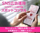 Facebook/インスタグラム広告診断いたします META広告設定や運用方法についてコツをご説明いたします イメージ3
