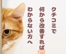 アワード受賞経験者が覆面宿泊！改善点レポートします 宿の魅力を最大化しませんか？クチコミ点数UPしたい方へ イメージ5