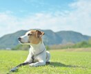 英語の翻訳いたします 丁寧な翻訳を心がけております！ イメージ1
