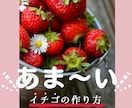 ピンタレストのピン1500円で作成します お洒落で目を惹くデザインであなたのピンを差別化！ イメージ2