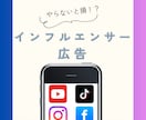 インフルエンサーが指定の曲に合わせて動画投稿します 総フォロワー数13万人&最低再生回数保証あり イメージ1