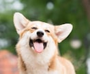 最強シンプルな手法おゆずりします 誰でも手順を真似するのみ！ツールなんていりません‼️ イメージ1