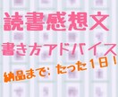 読書感想文の書き方のアドバイスをたった１日でします 納品時間:12時間以内！図書の指定できません。緊急納品対応可 イメージ1