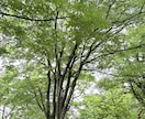 ふと誰かと話したくなったとき✨お話相手になります 心、体、人間関係…浮かんだことを自由にお話しくださいね✨ イメージ2