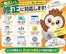 ホームページ・WordPressを修正します 初心者OK！小さな修正・表示崩れ・不具合まで対応 イメージ3