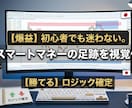 FXの正解を可視化！最強3点ツールが常勝へ導きます 大口の動き・トレンド・環境認識。すべてを揃えた完全版。 イメージ5