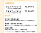 Vtuberモデルアップデートいたします 今のモデルを進化させませんか？細かい所一つからOK！ イメージ2