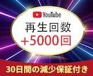 高品質YouTube再生回数5,000回拡散します ⭐️YouTube 再生5000回をサポート⭐️ イメージ1