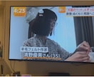 フジTVイット！出演・羊毛フェルトのペット作ります ペットちゃんとの思い出やご家族の想いもお人形に込めます イメージ11