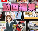 分かりやすく丁寧な動画編集にこだわっています 希望の雰囲気やイメージを重視した編集を意識します イメージ1